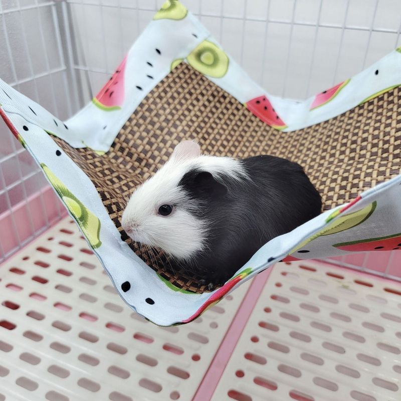 ZenPets Hamac de refroidissement pour petits animaux