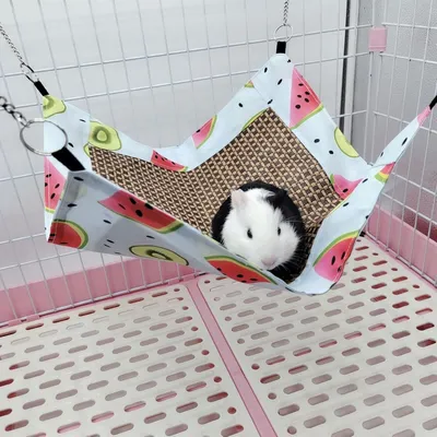 ZenPets Hamac de refroidissement pour petits animaux