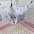 Pet Planet Hamac pour sugar gliders et écureuils