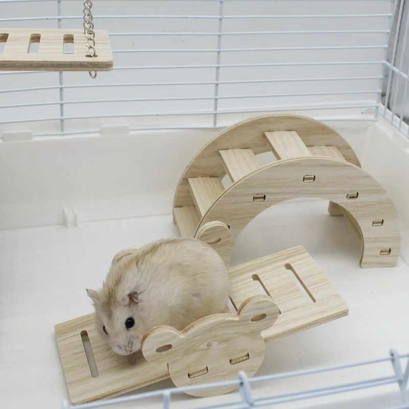 ZooVenture 3 Pcs Jouets Pour Hamster DIY