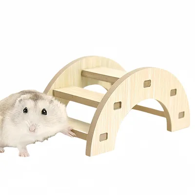 FurryFusion Petit pont d'escalier pour rongeurs