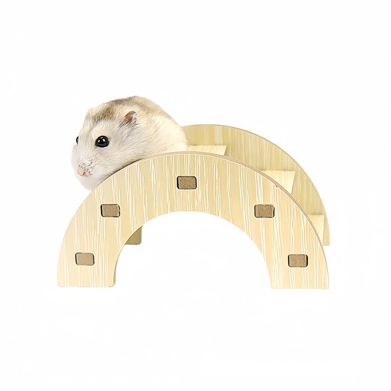 FurryFusion Petit pont d'escalier pour rongeurs