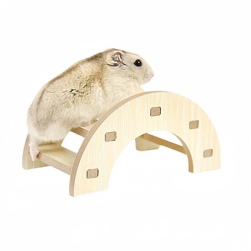 FurryFusion Petit pont d'escalier pour rongeurs