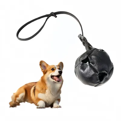 Pet Planet Jouet d'entraînement Balle en cuir pour chiots