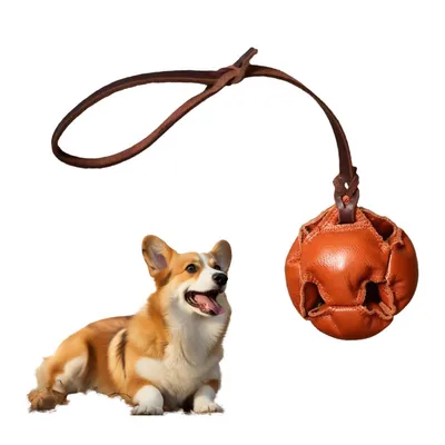 Pet Planet Jouet d'entraînement Balle en cuir pour chiots