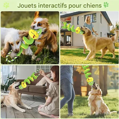 IntiMeg Interaktives Seilziehspielzeug für Hunde
