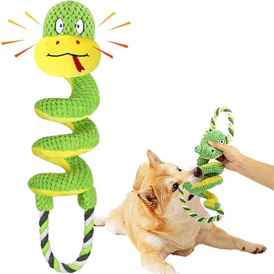 IntiMeg Jouet interactif de tir à la corde pour chien