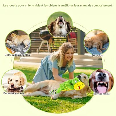IntiMeg Jouet interactif de tir à la corde pour chien