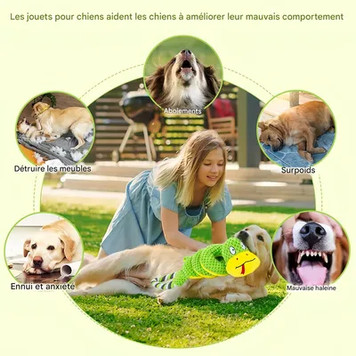 IntiMeg Interaktives Seilziehspielzeug für Hunde