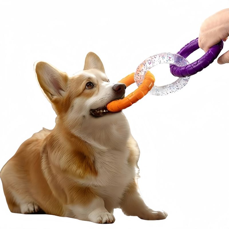 FurryFusion Jouet pour chien à trois anneaux