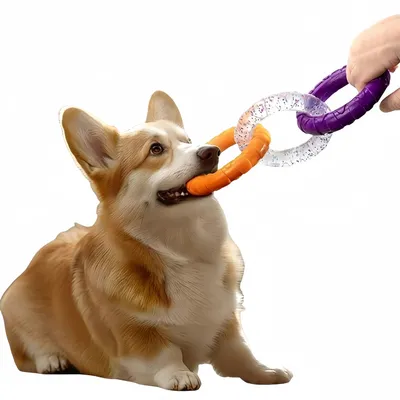 FurryFusion Jouet pour chien à trois anneaux