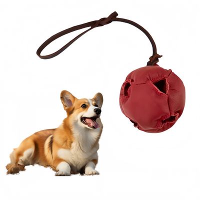 Pet Planet Jouet d'entraînement Balle en cuir pour chiots