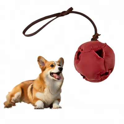 Pet Planet Jouet d'entraînement Balle en cuir pour chiots