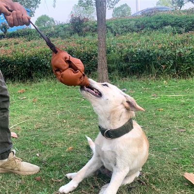 Pet Planet Jouet d'entraînement Balle en cuir pour chiots