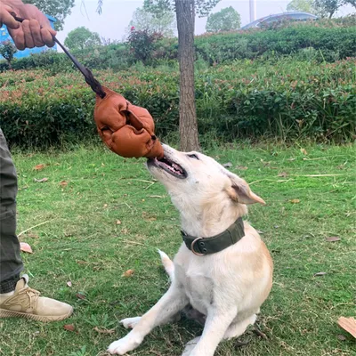 Pet Planet Jouet d'entraînement Balle en cuir pour chiots