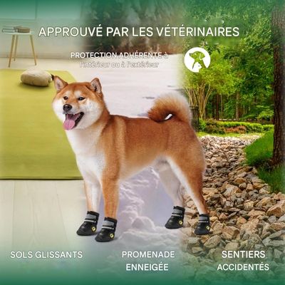 Pet Planet Chaussures et Bottes D'Été Anti - Glissantes Pour Chien