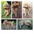 FurryFusion Wanderschuhe für Hunde