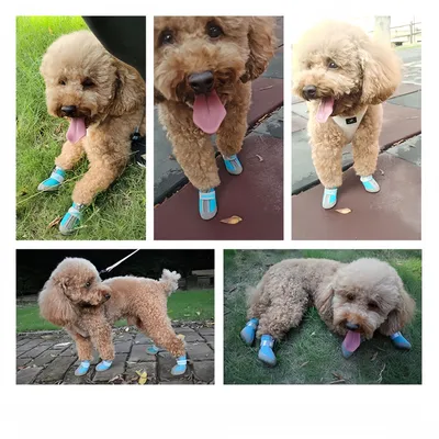 FurryFusion Wanderschuhe für Hunde FurryFusion Wanderschuhe für Hunde