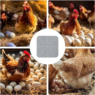 ZenPets Tapis d'alimentation pour poulets