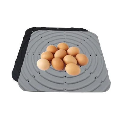 ZenPets Tapis d'alimentation pour poulets