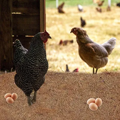 FurryFusion Lot de 6 tapis d'animaux de la ferme