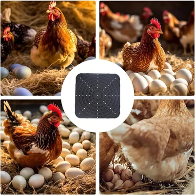 ZenPets Tapis d'alimentation pour poulets