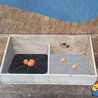 ZenPets Tapis d'alimentation pour poulets