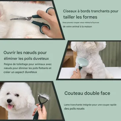 Pet Planet GroomPro Lot De Brosses De Toilettage Pour Chiens Et Chats Pet Planet GroomPro Lot De Brosses De Toilettage Pour Chiens Et Chats