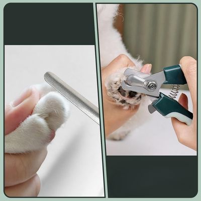 Pet Planet GroomPro Lot De Brosses De Toilettage Pour Chiens Et Chats