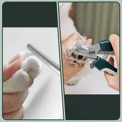 Pet Planet GroomPro Lot De Brosses De Toilettage Pour Chiens Et Chats Pet Planet GroomPro Lot De Brosses De Toilettage Pour Chiens Et Chats