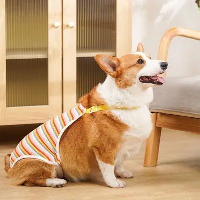 ZenPets Couches pour chien en coton rayé