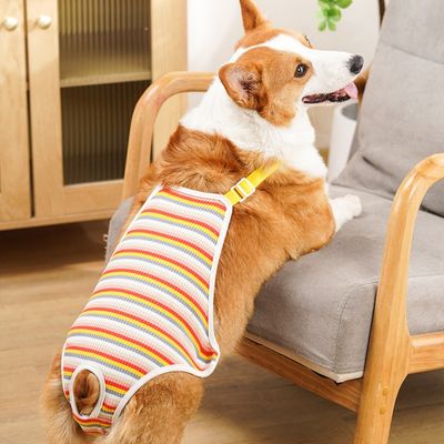 ZenPets Couches pour chien en coton rayé