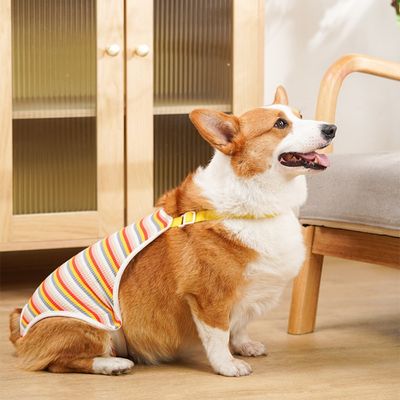 ZenPets Couches pour chien en coton rayé