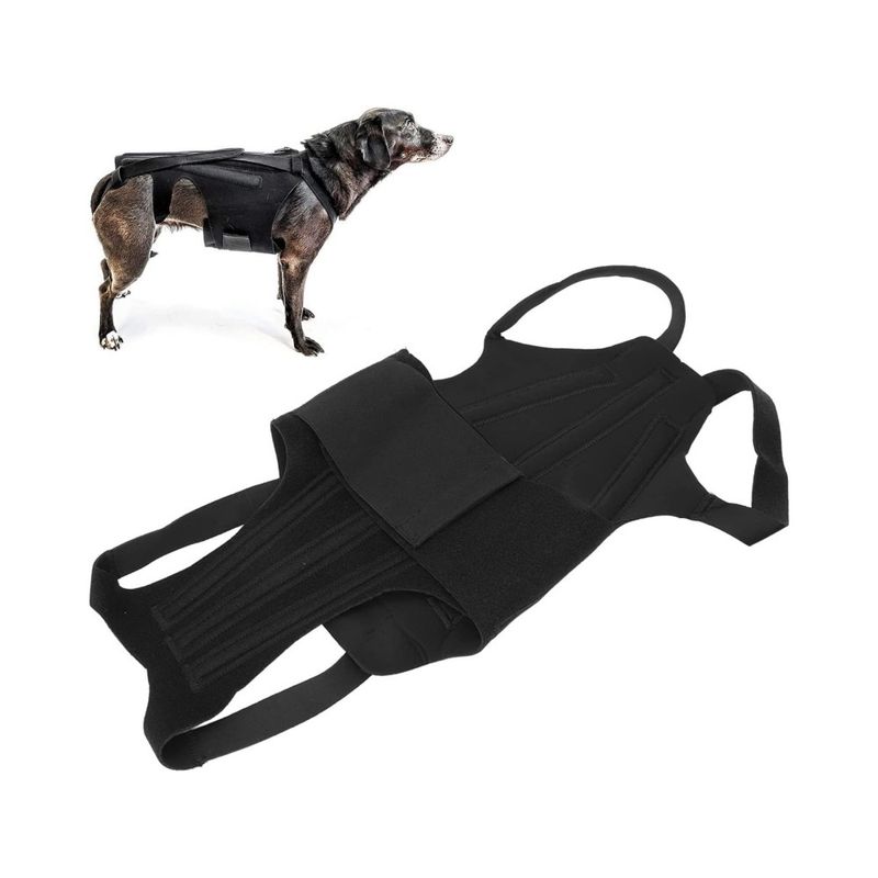 ZenPets Gilet de soutien dorsal pour chien