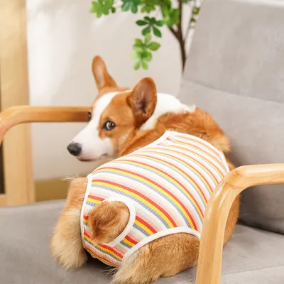 ZenPets Couches pour chien en coton rayé