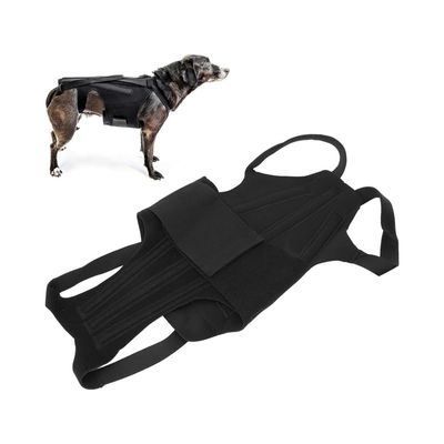 ZenPets Gilet de soutien dorsal pour chien