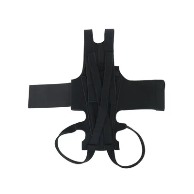 ZenPets Gilet de soutien dorsal pour chien