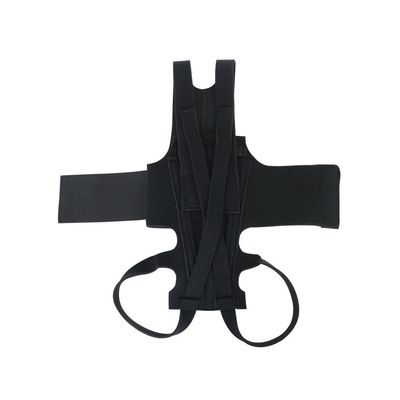 ZenPets Gilet de soutien dorsal pour chien