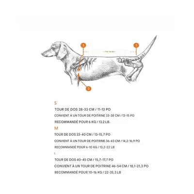 ZenPets Gilet de soutien dorsal pour chien