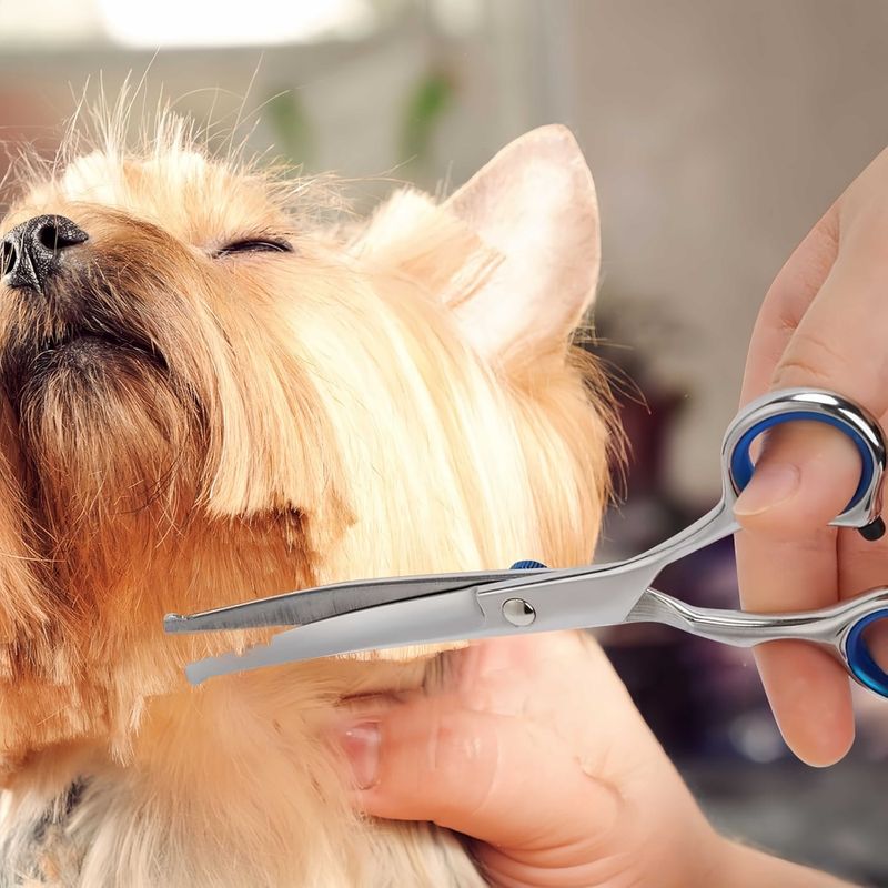 FurryFusion Ciseaux de toilettage pour chien et chat
