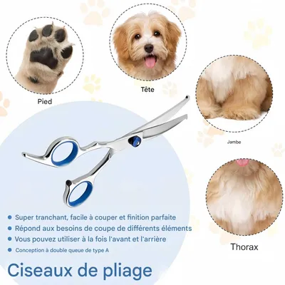 FurryFusion Ciseaux de toilettage pour chien et chat