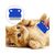 ZenPets Lot de 6 peignes anti - puces pour chiens et chats
