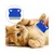 ZenPets Lot de 6 peignes anti - puces pour chiens et chats