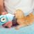 ZenPets Biberon pour chat