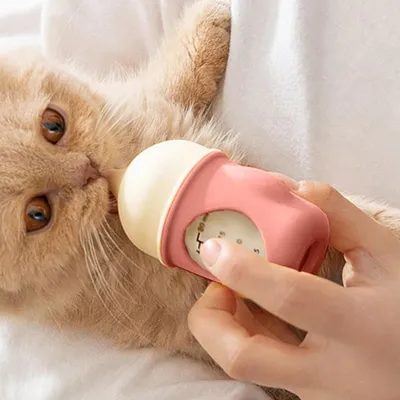 ZenPets Biberon pour chat