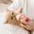 ZenPets Biberon pour chat