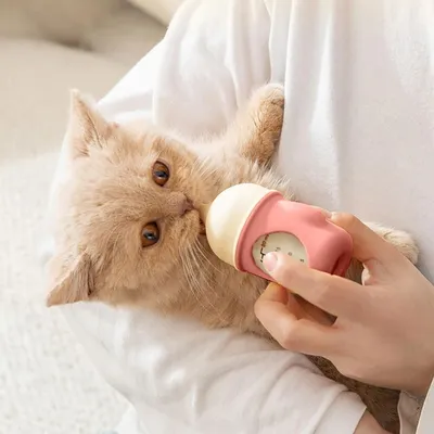 ZenPets Biberon pour chat