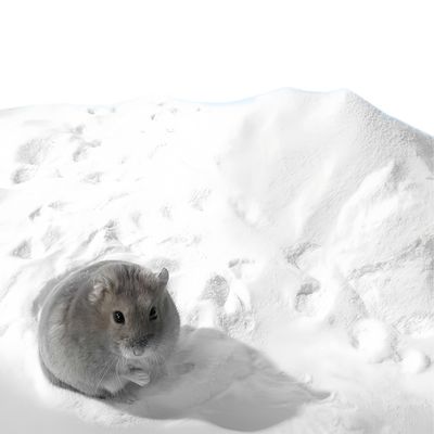 FurryFusion Badesand für Tiere 500 g