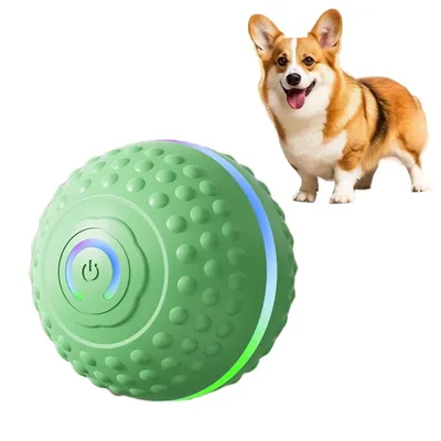 IntiMeg Jouet intelligent pour chien