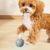 IntiMeg Jouet intelligent pour chien